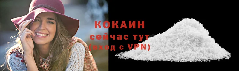 Cocaine Fish Scale  где найти наркотики  ссылка на мегу ссылка  Краснозаводск 